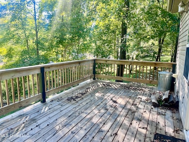 10653 Ben Lomond Cove, Hernando, MS 38632 - photo 4