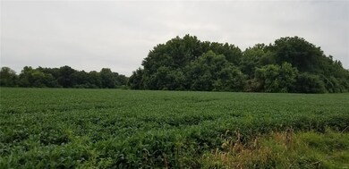 0 Main unit 18063661, Maryville, IL 62062 - photo 5