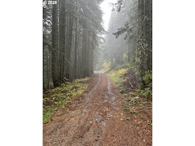 0 Calapooia Rd unit 498469836, Sweethome, OR 97386 - photo 6