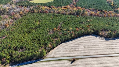 5665 Longview Dr, Kenbridge, VA 23944 - photo 5