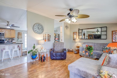 1598 Bristol Caverns Hwy, Bristol, TN 37620 - photo 4