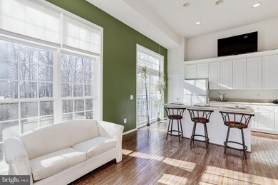 1607 Treetop View Terrace, Silver Spring, MD 20904 - photo 5