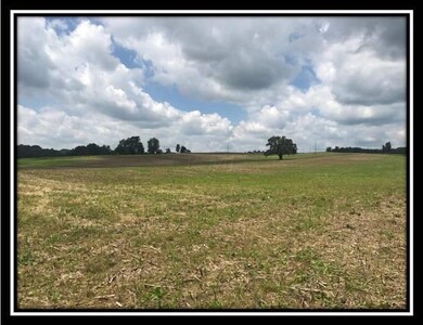 10364 Rankin Rd, Glenford, OH 43739 - photo 6