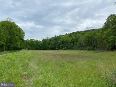 0 Virginia Line Rd unit WVMO116180, Berkeley Springs, WV 25411 - photo 4