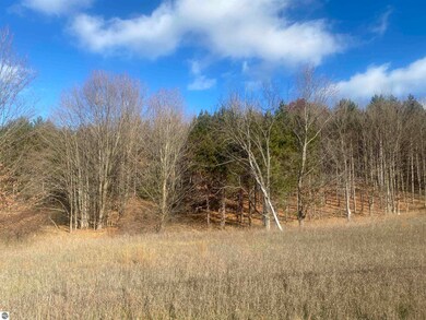 000 E Hammond Rd, Traverse City, MI 49686 - photo 4