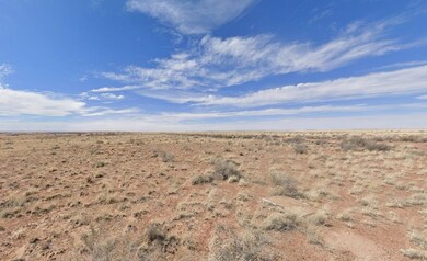 Pima St, Holbrook, AZ 86025 - photo 4