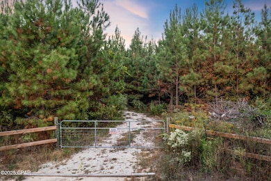 1503 Open Creek Rd unit North Lot, Chipley, FL 32425 - photo 2