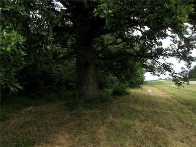 Hwy 136 Peaceful Ct, Potomac, IL 61865 - photo 2