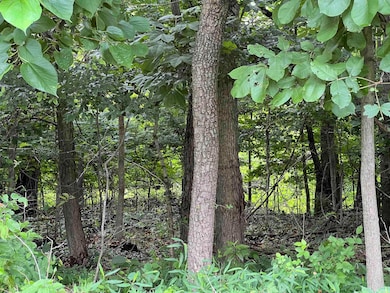 0 N Melchoir Dr unit 202525775, Santa Claus, IN 47579 - photo 4