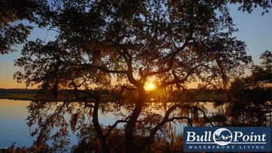 Bull Point - Sunset_Oak and Sunset.mov.0