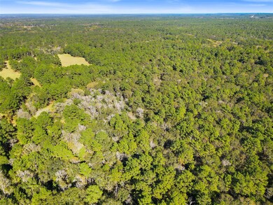 TBD Chandler Ln, Huntsville, TX 77320 - photo 6