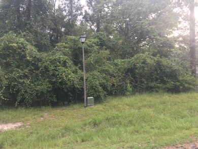 0 Hog Hedge unit 308876, Crawfordville, FL 32327 - photo 5