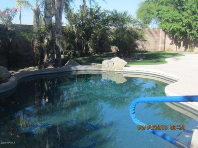 pool_backyard