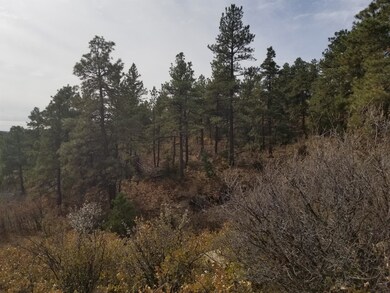 Rancho La Garita 230