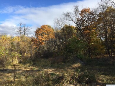 358 Flats Rd, Athens, NY 12015 - photo 7