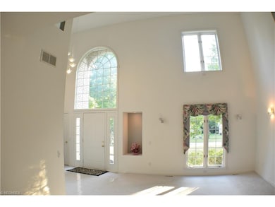Stunning 2 story Living room and foyer