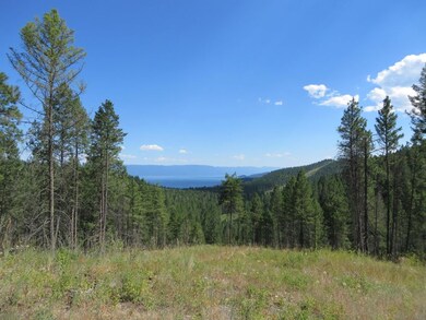 Camp-Vic 004