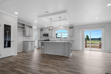 unlisted-address, Alba, TX 75410 - photo 3