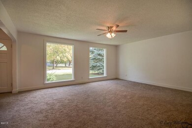 Large Living Room Windows