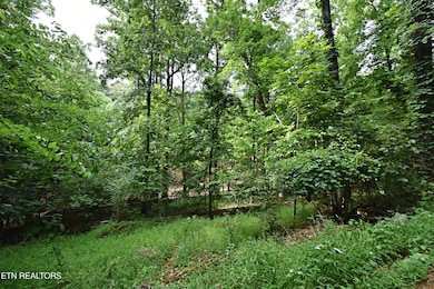 0 Early Rd unit 3 1307350, Knoxville, TN 37922 - photo 3