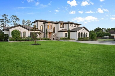 27494 S Lazy Meadow Way, Spring, TX 77386 - photo 2