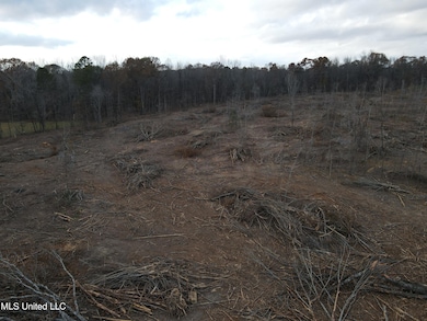 0 Lane Rd, Cascilla, MS 38920 - photo 4