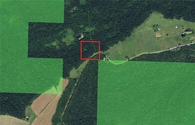 20895 Winfrey Valley Rd, Winslow, AR 72959 - photo 5