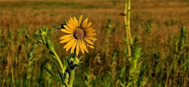 25987 W 215th St, Spring Hill, KS 66083 - photo 5