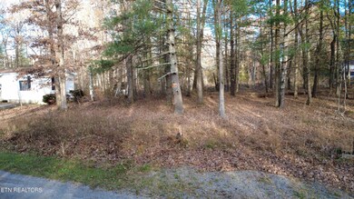 6058 Loch Loosa Dr, Crossville, TN 38572 - photo 5