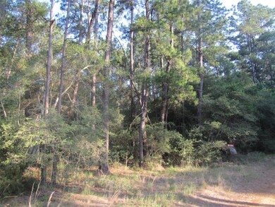 30233 Johnson Alley, Magnolia, TX 77355 - photo 2