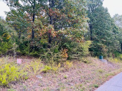 Lot 11 Hanging Branch Ridge, Flat Creek A Township, MO 65624 - photo 7