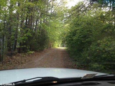 Other - Driveway leading to the house,