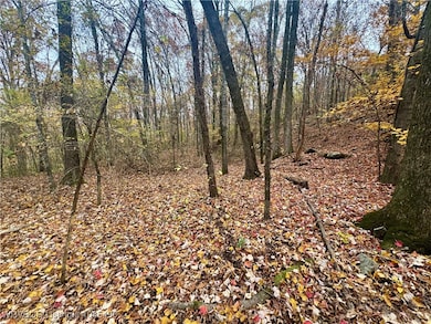 01 Arkansas 96, Cecil, AR 72930 - photo 4