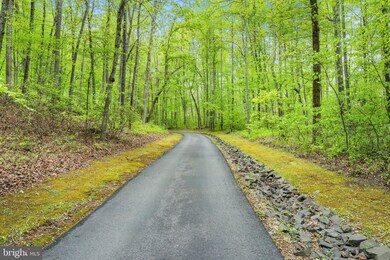 117 Valhalla Trail Ln, Amissville, VA 20106 - photo 5