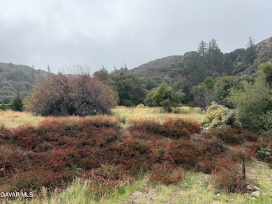 19350 Pine Canyon Rd, Lake Hughes, CA 93532 - photo 5