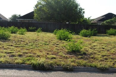 830 N 7 1 2 St, Alamo, TX 78516 - photo 2