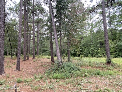 231 Meyer Farm Dr, Pinehurst, NC 28374 - photo 6