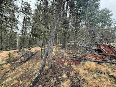 Lot 99 Via Del Rey, Angel Fire, NM 87710 - photo 2