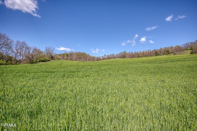 Tbd Wallace Pike, Bristol, VA 24202 - photo 3