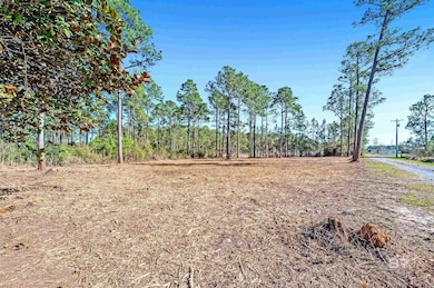 0 Canal Rd unit 2 375587, Orange Beach, AL 36561 - photo 7