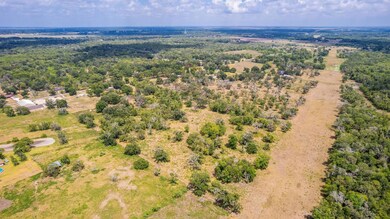 18048 County Road 463, Brazoria, TX 77422 - photo 4