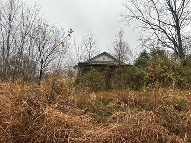 303 Lion St, Dixon, MO 65459 - photo 2