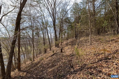 1280 Jones Overlook unit 53, Scottsville, VA 24562 - photo 4