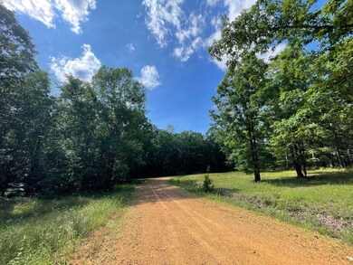 3829 Highway 25, Iuka, MS 38852 - photo 4