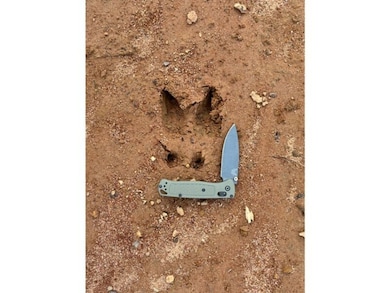 00 Martin Dr, Carthage, MS 39051 - photo 7