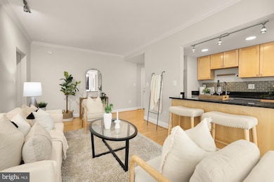 The Chastleton unit 734, Washington, DC 20009 - photo 4