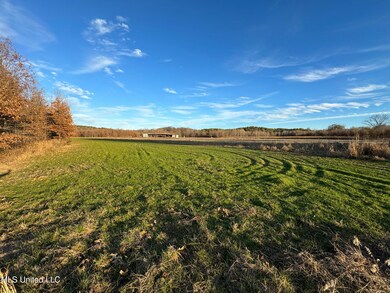IMG_4652