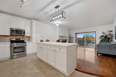 145 S York St unit 322, Elmhurst, IL 60126 - photo 6