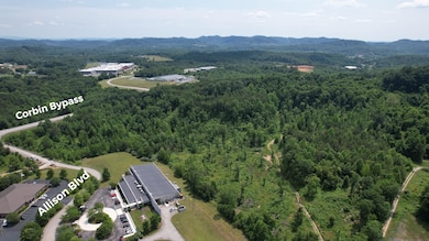 8888 Ky 3041 Bypass & Allison Blvd, Corbin, KY 40701 - photo 3