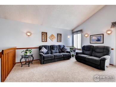 13039 Jackson Dr, Thornton, CO 80241 - photo 4
